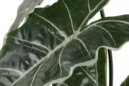 Viherkasvi Juurakkovehka 51cm 4LIVING - Tekokukat - 110161 - 2