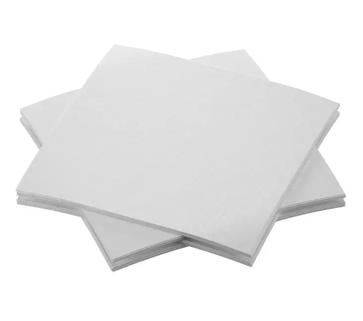 Lautasliina 20x20cm DUNI Bio Dunisoft - Servietit ja lautasliinat - 133612 - 1