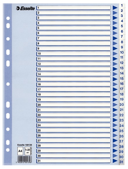 Rekisteri 1-31 A4 ESSELTE muovi - Rekisterisarjat, muoviset - 127563 - 1