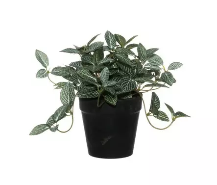 Viherkasvi Pitsilehti 17cm 4LIVING - Tekokukat - 130744 - 1