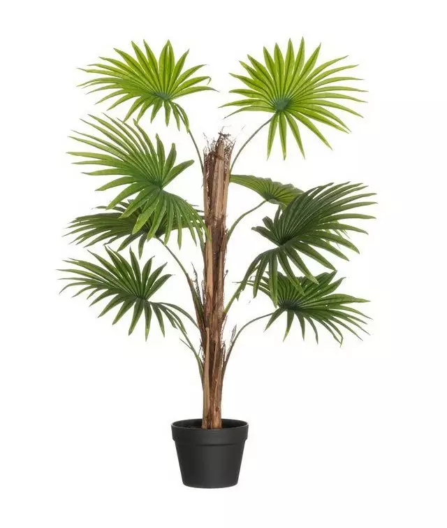 Viherkasvi Viuhkapalmu 90cm 4LIVING - Tekokukat - 185354 - 1