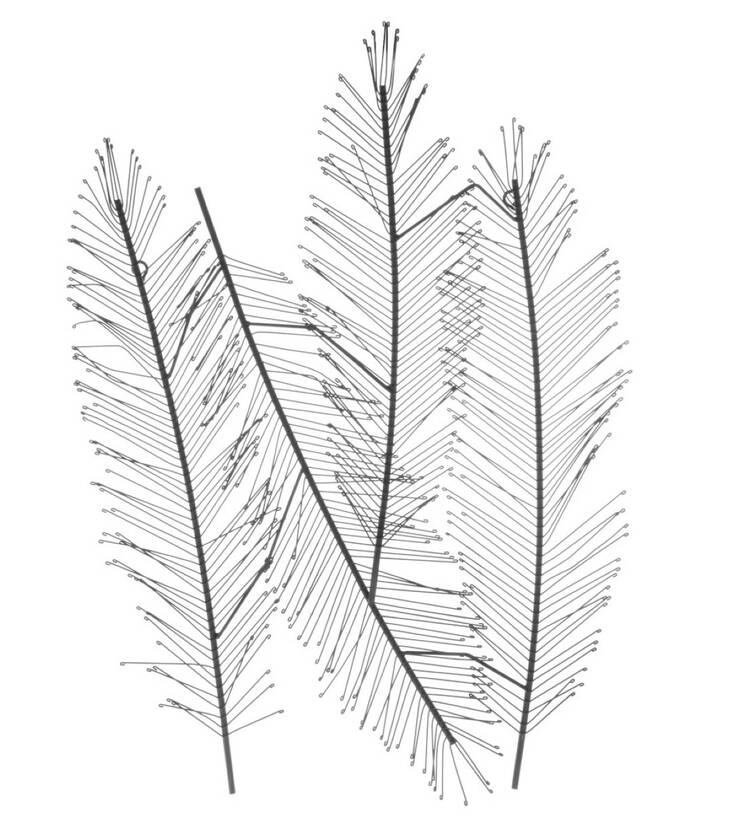 Metallideco Leaves 59x82cm - Piensisustaminen - 146457 - 1