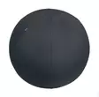 Aktiivipallo 75cm LEITZ Ergo - Työtuolit - 181739 - 1